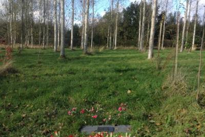 Markfield burial ground Poplar graves