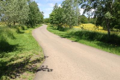 Westall Park road to the burial area