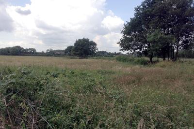 Lentons Lane Cemetery potential expansion fields