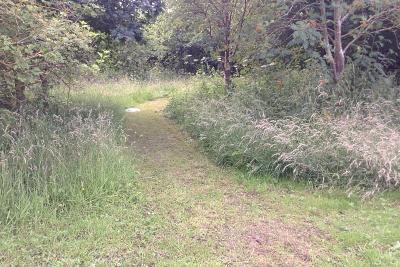 Lentons Lane Cemetery Natural Green Burial Ground