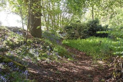 Temple Fields Natural burial woodland and paths