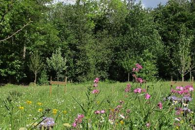 Temple Fields open grasslands