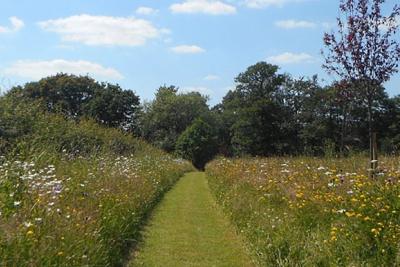 Temple Fields pathways