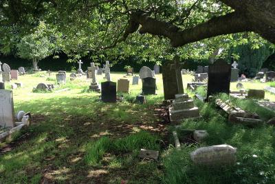 Windmill Road cemetery graves under the shade