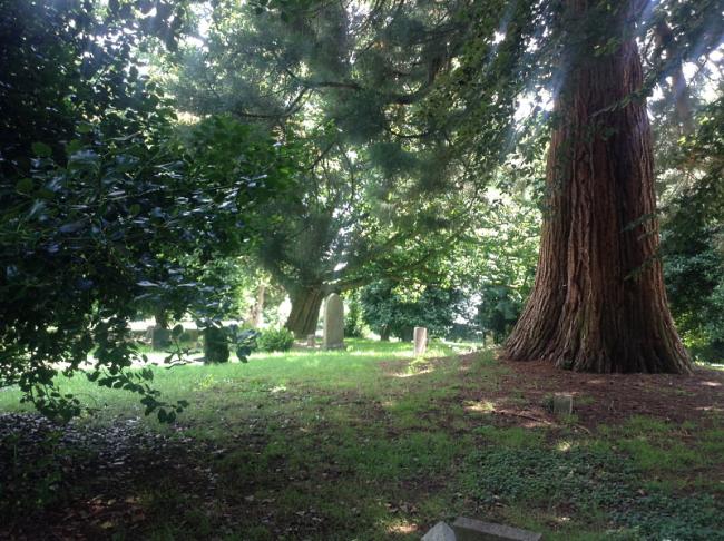 Coventry London Road Cemetery winding paths