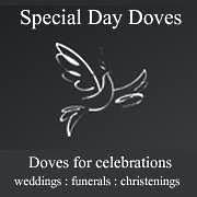 Special Day Doves