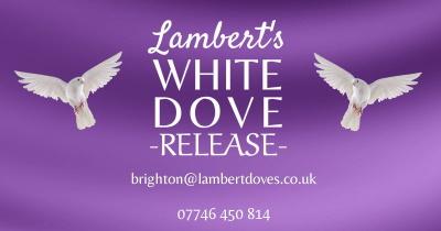 Sussex Dove Release