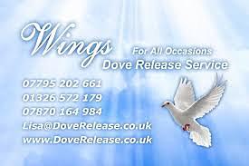 Wings Dove Release