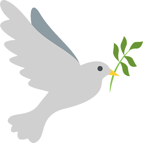 White Dove Release