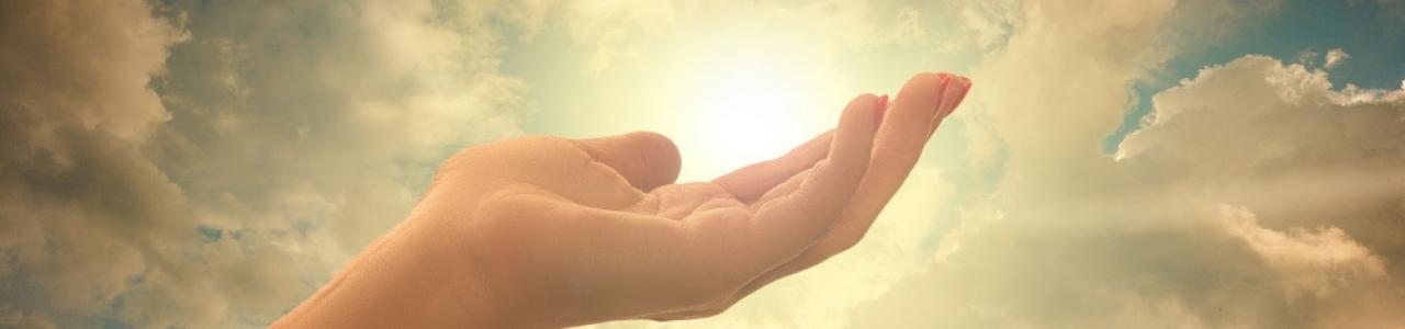 The released dove above