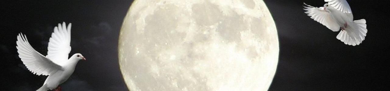 Doves above the moon