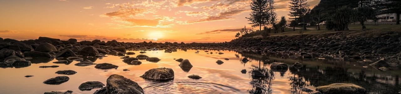 Ripple in the Landscape