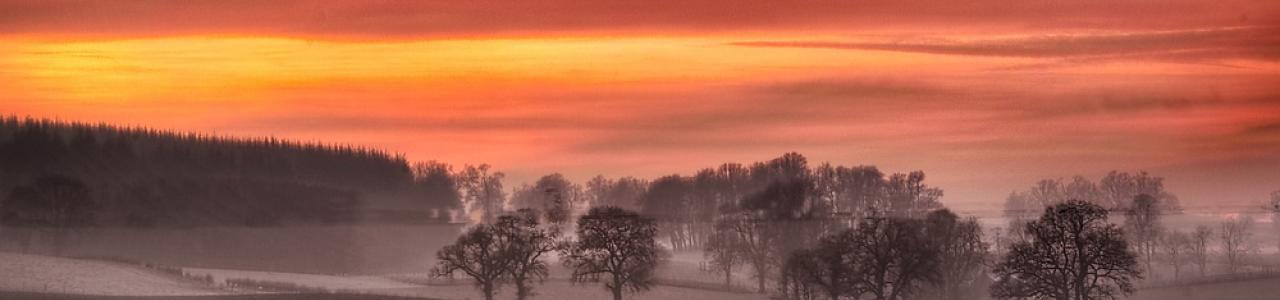 The Wood captured by John McCann